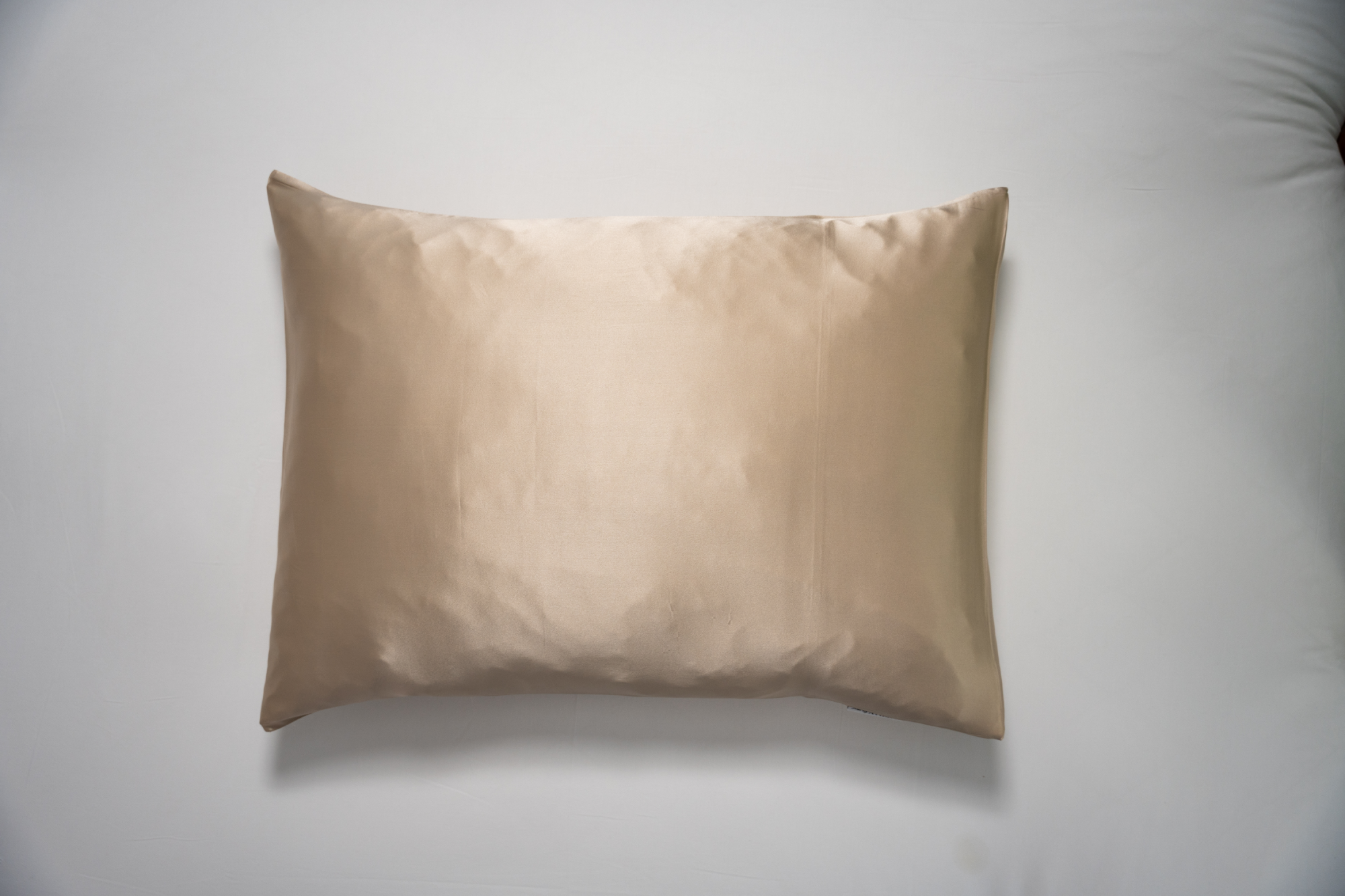 Silk Pillowcase - Champagne